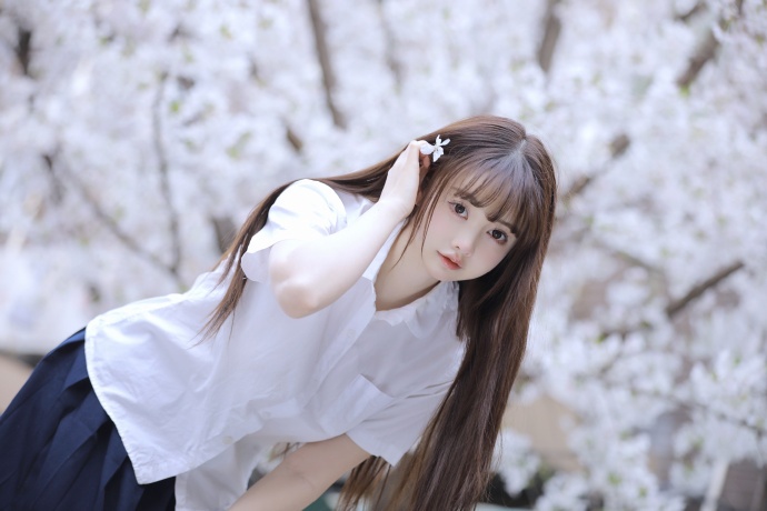 风骚律师 封面